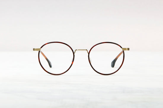 Dublin - Brown Havana Silver