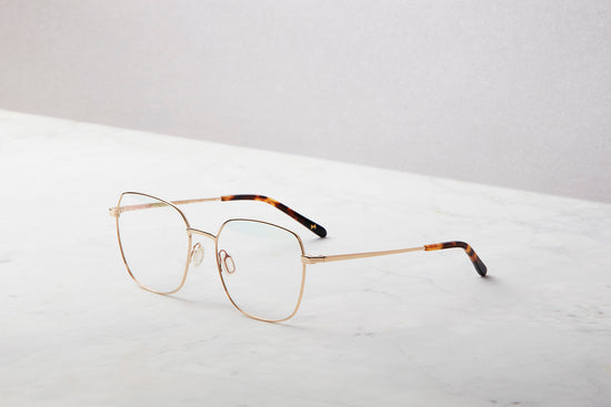 Toulouse - Havana Gold